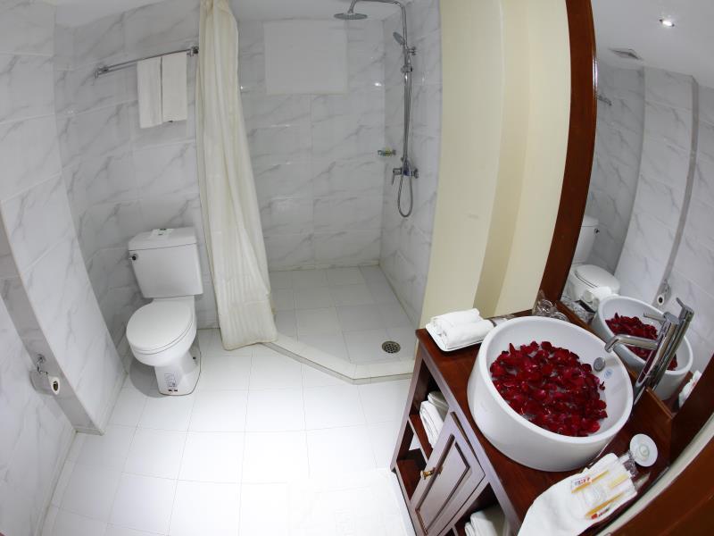 741a8-oway-grand-hotel-mdl-shower.jpg