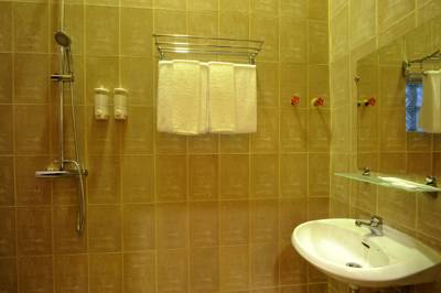 7f7ba-Lotus-Boutique-Shower.jpg