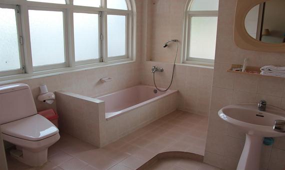 8666c-Windsor-Hotel-bathtub.jpg