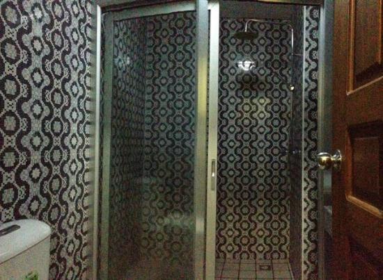 bacfd-shwe-phyu-hotel-shower.jpg