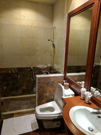 d364e-the-hotel-at-tharabar.Shower-jpg.jpg